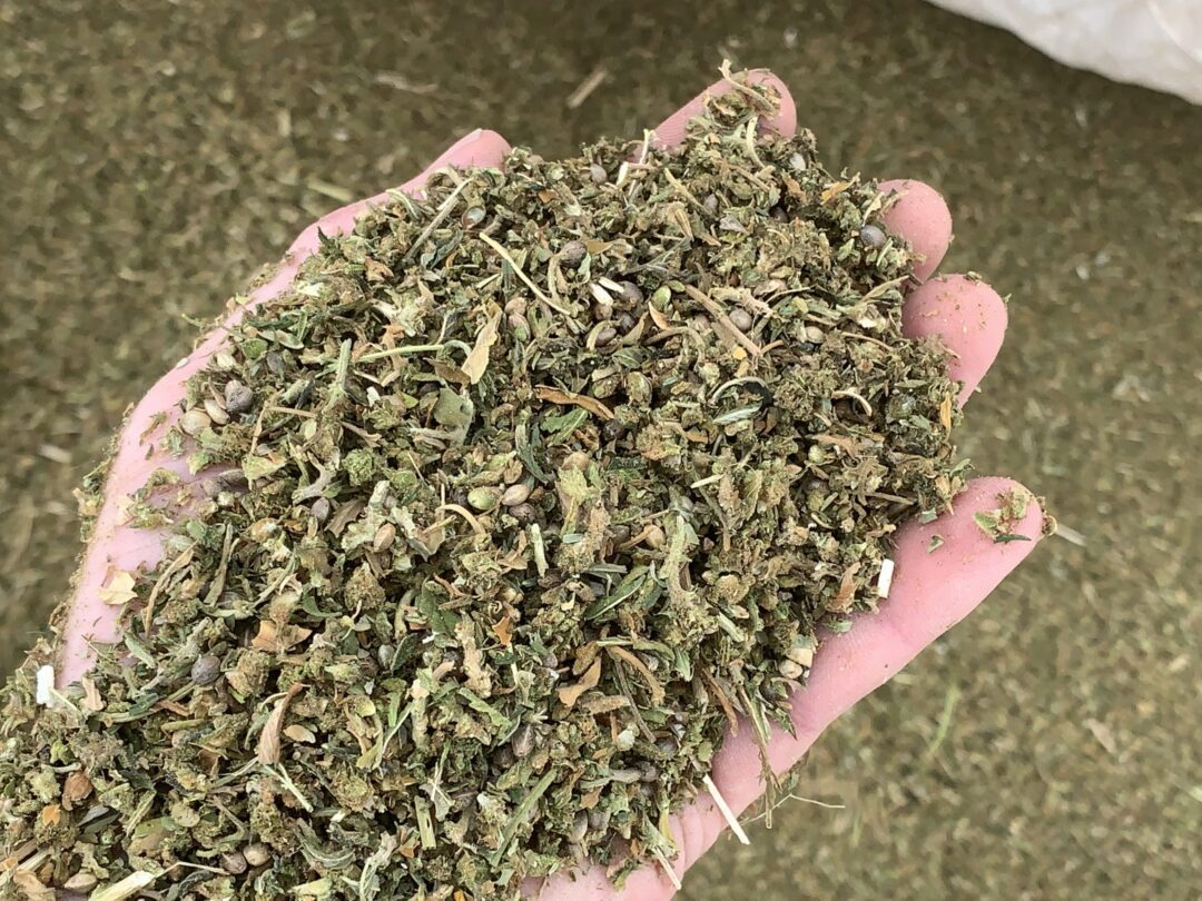 BOSS Hemp Separator | CBD Hemp Thresher | Large scale cannabis processor | Bish Hemp Separator System