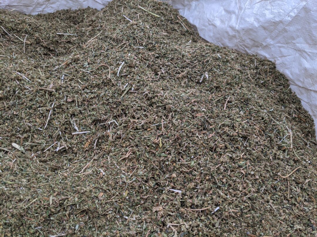 BOSS Hemp Separator | CBD Hemp Thresher | Large scale cannabis processor | Bish Hemp Separator System