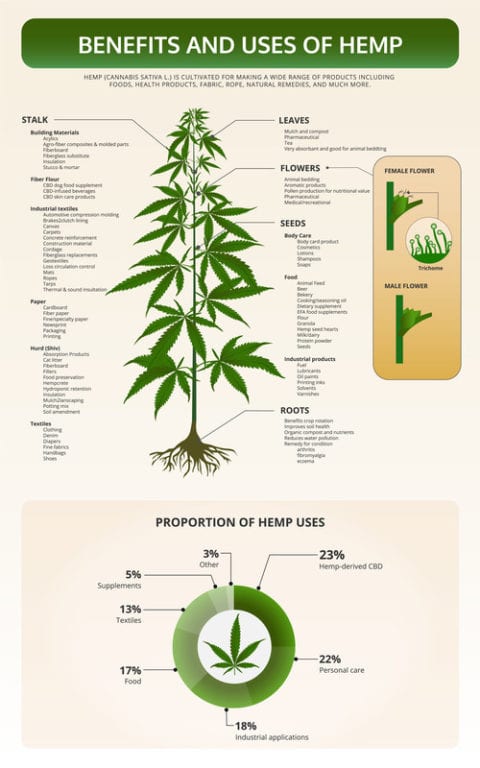 The Many Uses of Hemp - Hemp Harvest Works